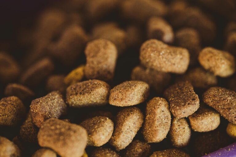 Detailed shot of brown dog kibble, perfect for pet owners and animal nutrition visuals. (Photo by Rafael Rodrigues on Pexels)