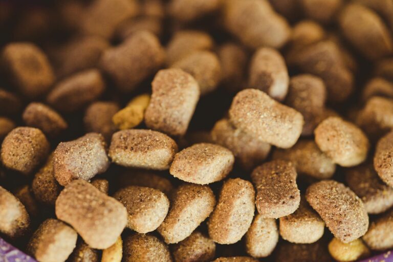 A close-up view of brown dog kibble, highlighting texture and variety. (Photo by Rafael Rodrigues on Pexels)