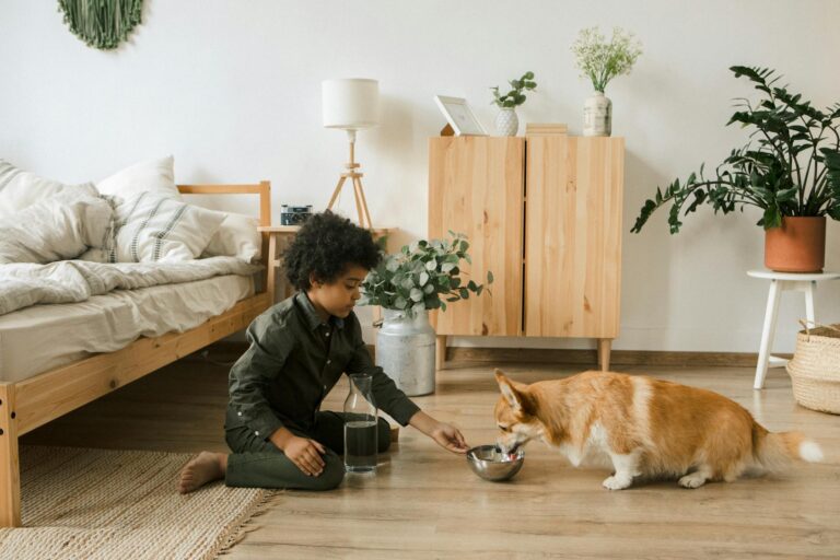 Child feeding a Corgi water in a cozy bedroom with plants and natural decor. (Photo by KATRIN  BOLOVTSOVA on Pexels)